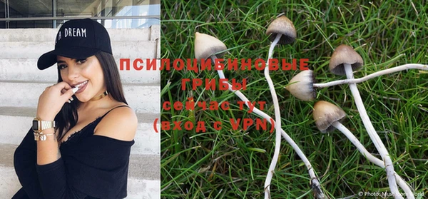 spice Алексин